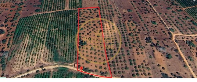 Terreno para Venda em Paderne