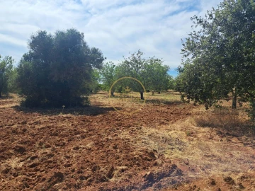 Terreno para Venda em Paderne
