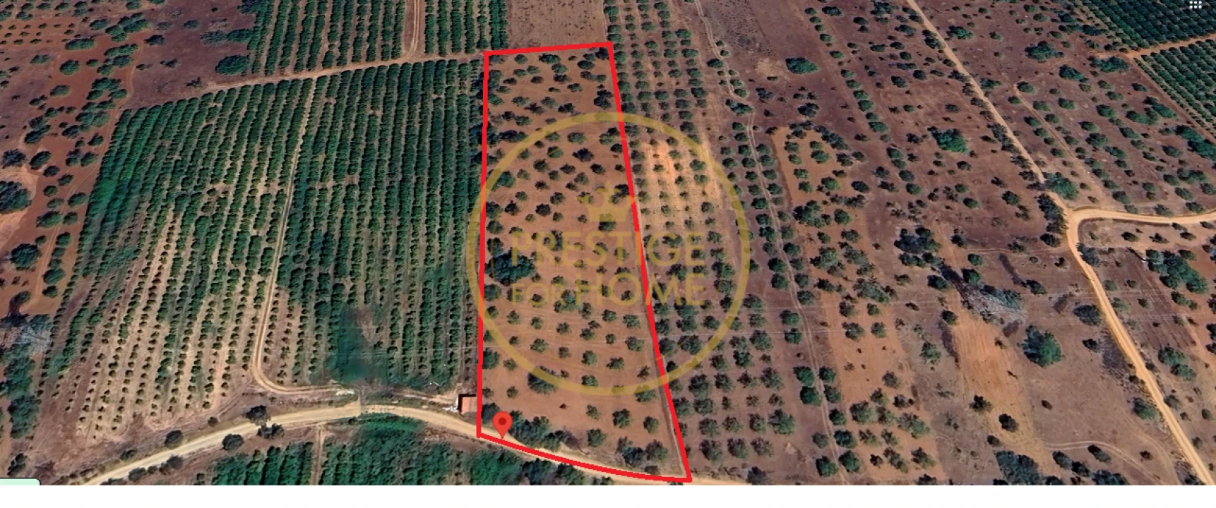 Terreno para Venda em Paderne Foto 2