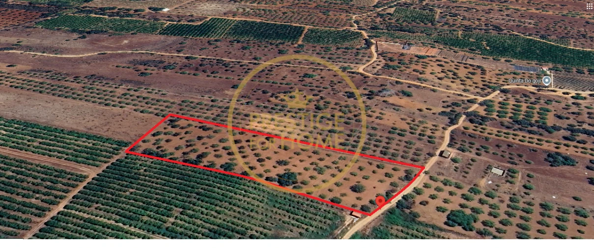 Terreno para Venda em Paderne Foto 3