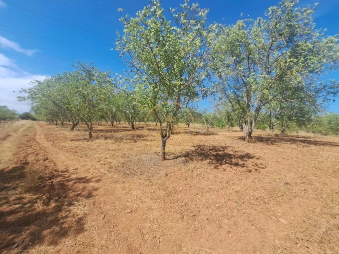 Terreno para Venda em Paderne Foto 6