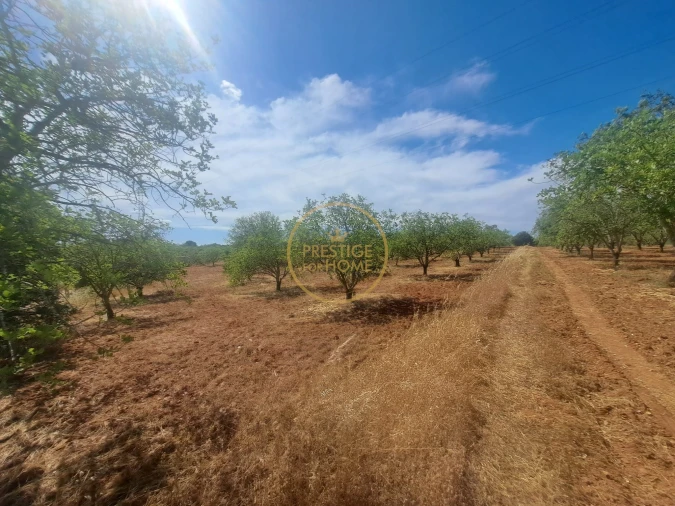 Terreno para Venda em Paderne Foto 4