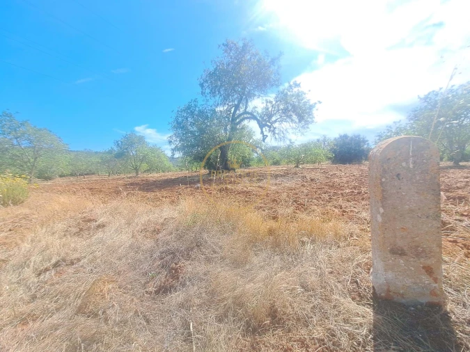 Terreno para Venda em Paderne Foto 8