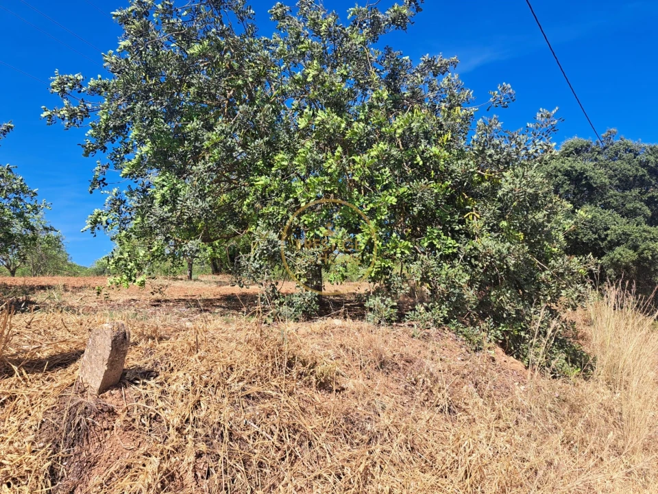 Terreno para Venda em Paderne Foto 9