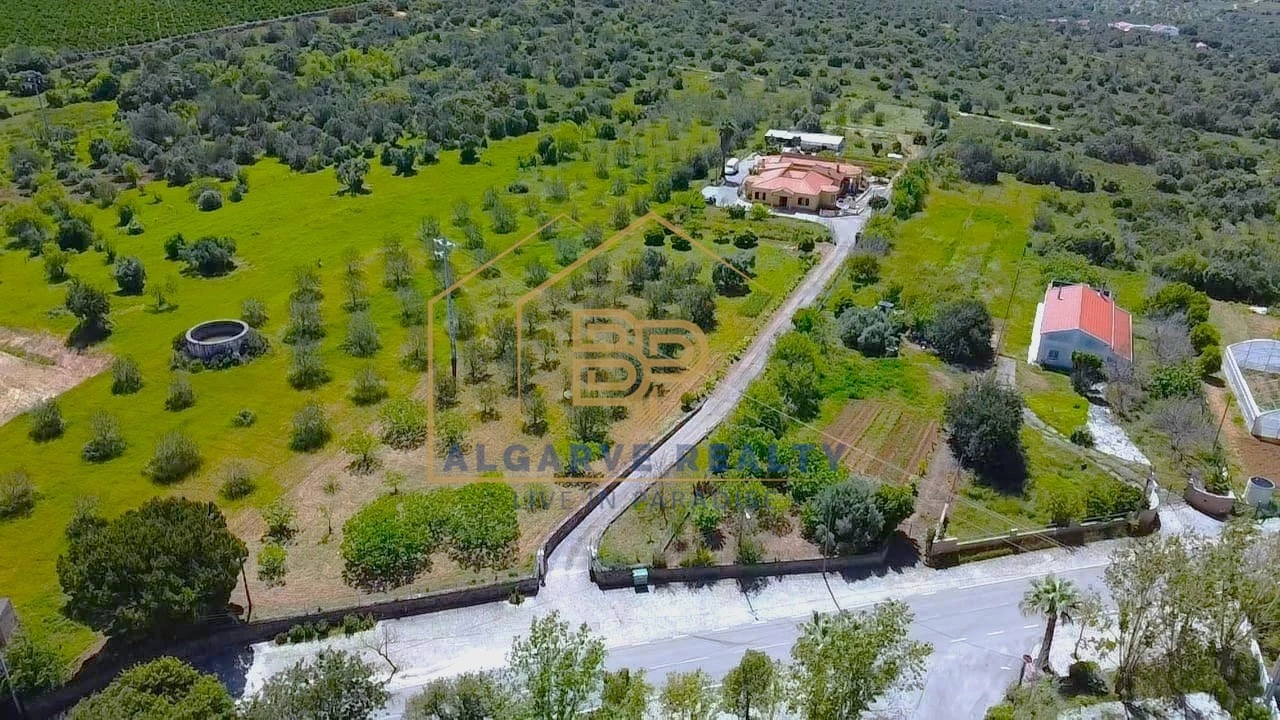 Negócio para Venda em Alte Foto 56