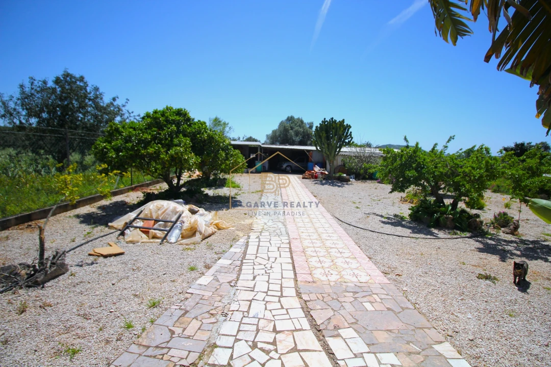 Negócio para Venda em Alte Foto 48