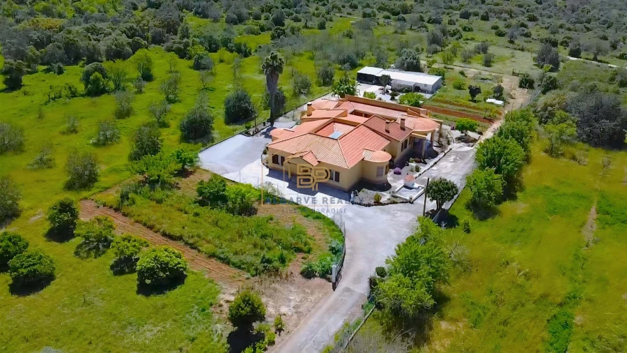 Negócio para Venda em Alte Foto 52