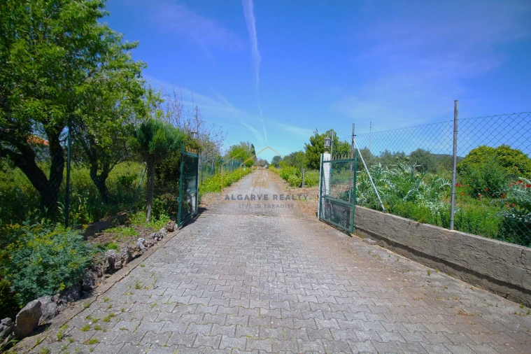 Negócio para Venda em Alte Foto 42