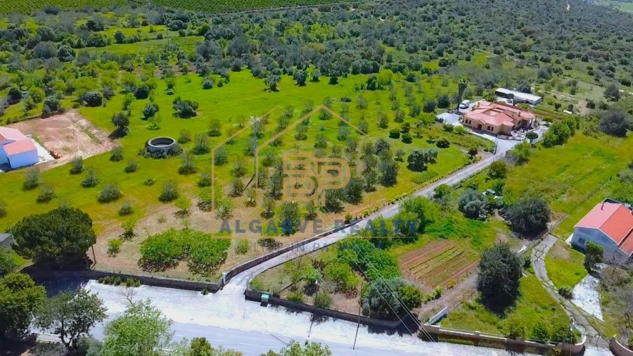 Negócio para Venda em Alte Foto 57