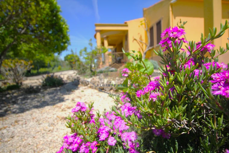 Negócio para Venda em Alte Foto 7