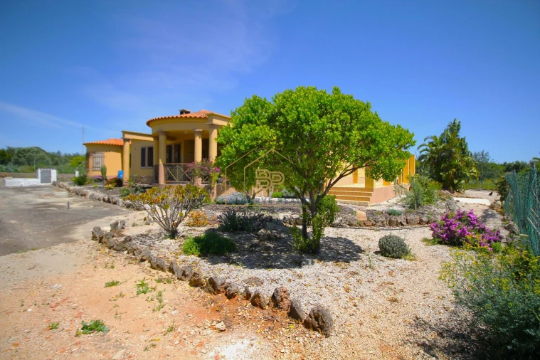 Negócio para Venda em Alte Foto 50