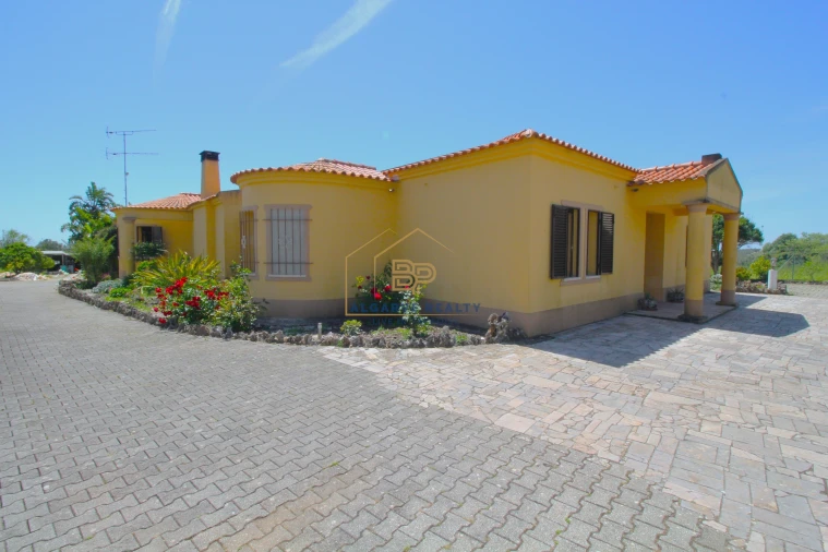 Negócio para Venda em Alte Foto 3