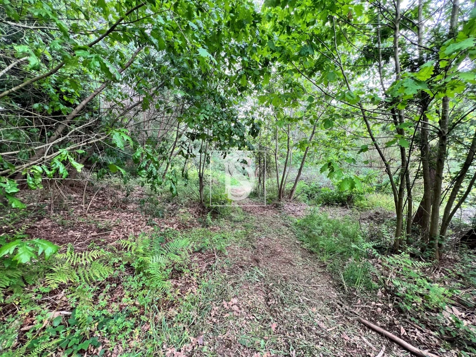 Terreno para Venda em Vila Nova de Cerveira e Lovelhe Foto 9