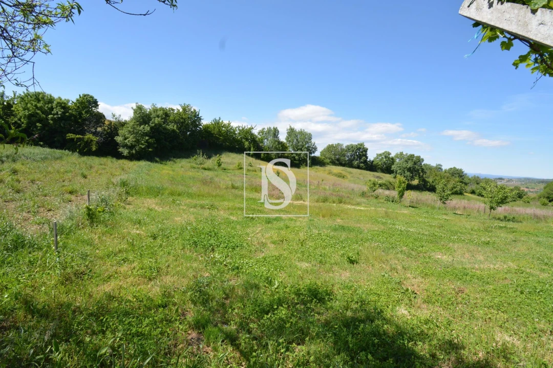 Terreno para Venda em Rebordãos Foto 2