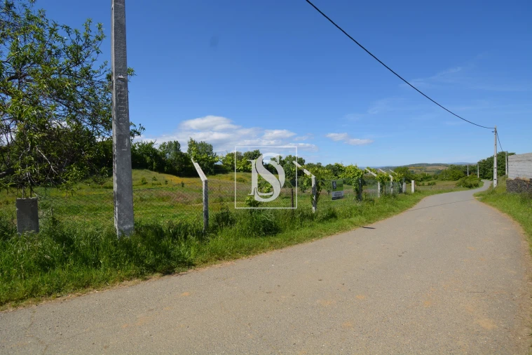 Terreno para Venda em Rebordãos Foto 3