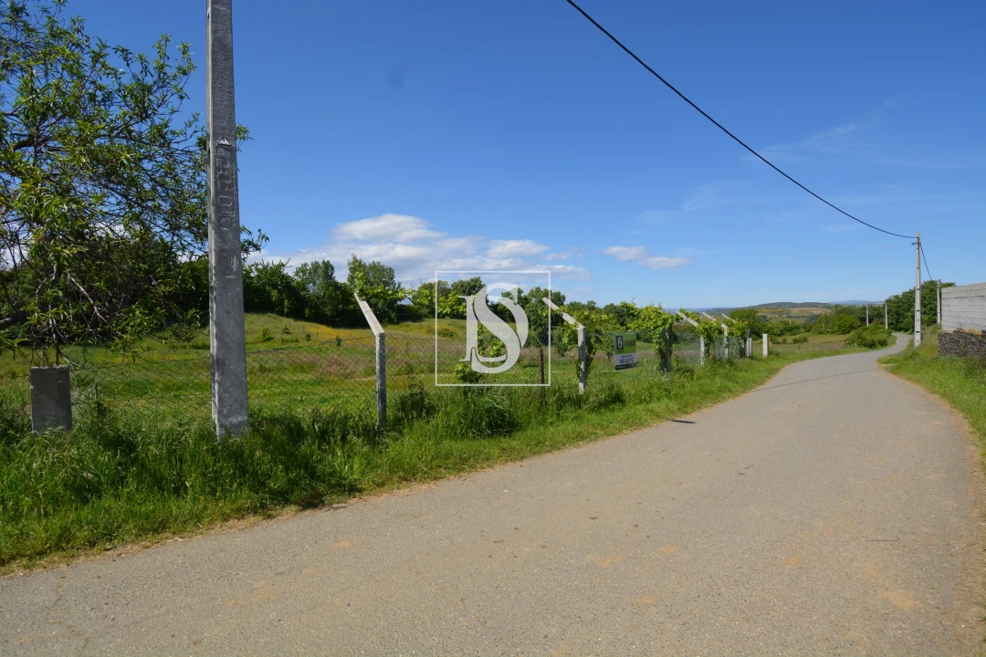 Terreno para Venda em Rebordãos Foto 3