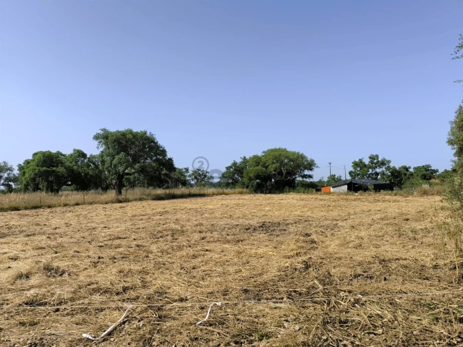 Terreno para Venda em Vale de Santiago Foto 6