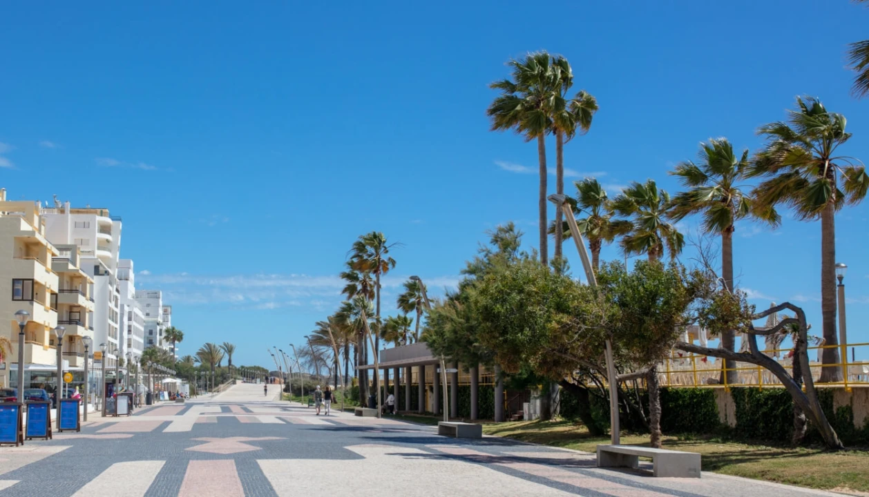 Armazém para Venda em Quarteira Foto 11