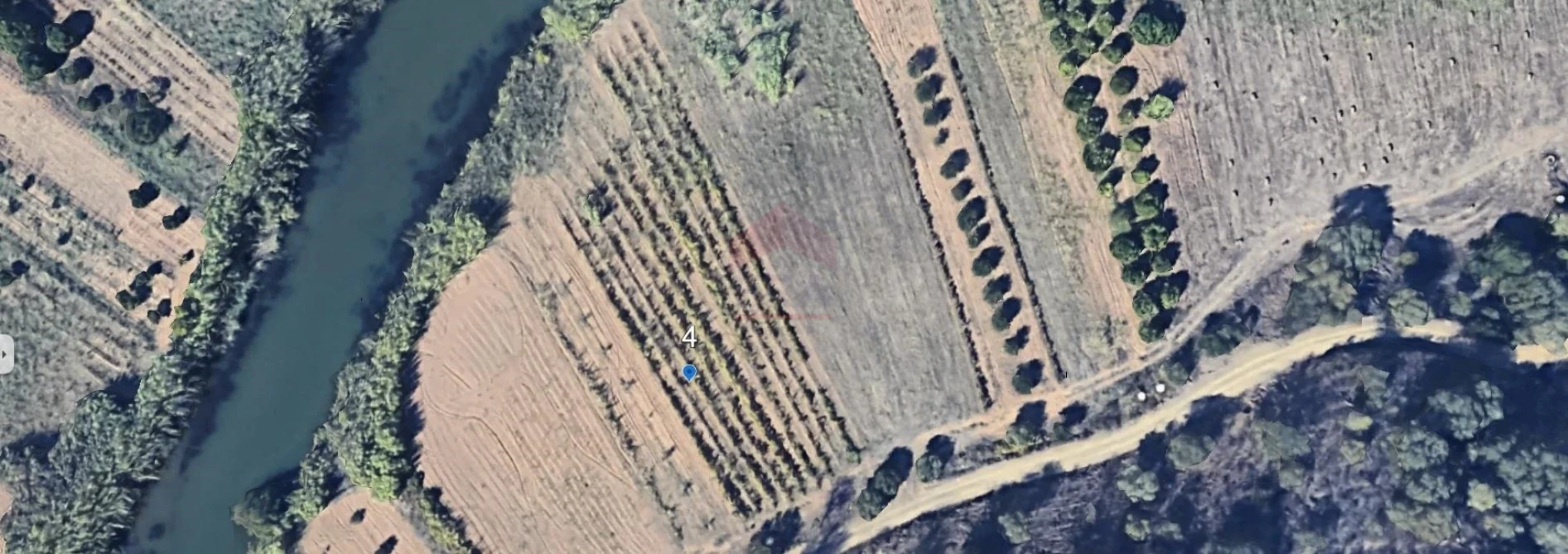 Terreno Agricola ou Rústico para Venda em Odeleite Foto 6