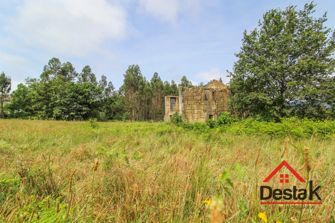 Terreno Agricola ou Rústico para Venda em Serrazes Foto 5