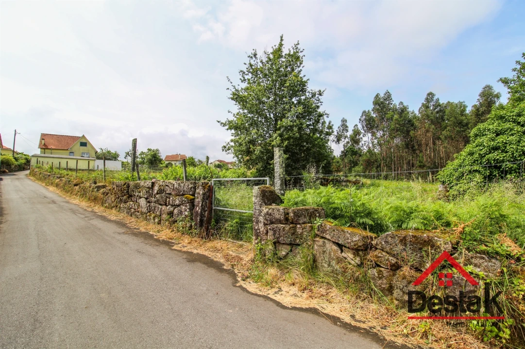 Terreno Agricola ou Rústico para Venda em Serrazes Foto 3