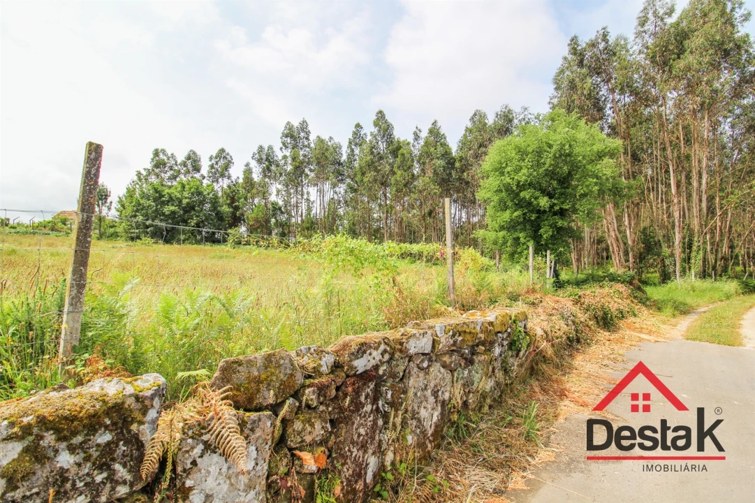 Terreno Agricola ou Rústico para Venda em Serrazes Foto 7