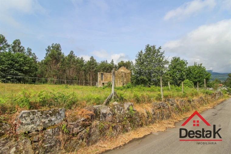 Terreno Agricola ou Rústico para Venda em Serrazes Foto 1