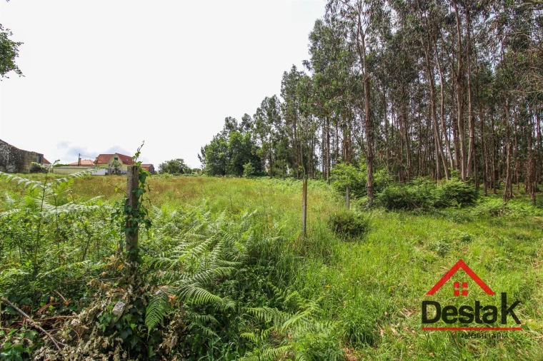 Terreno Agricola ou Rústico para Venda em Serrazes Foto 10