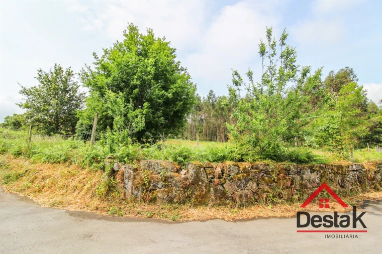 Terreno Agricola ou Rústico para Venda em Serrazes Foto 4