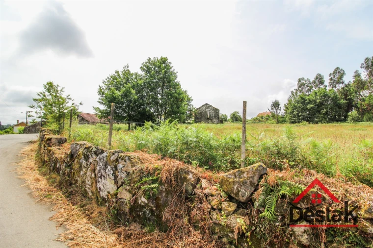 Terreno Agricola ou Rústico para Venda em Serrazes Foto 6