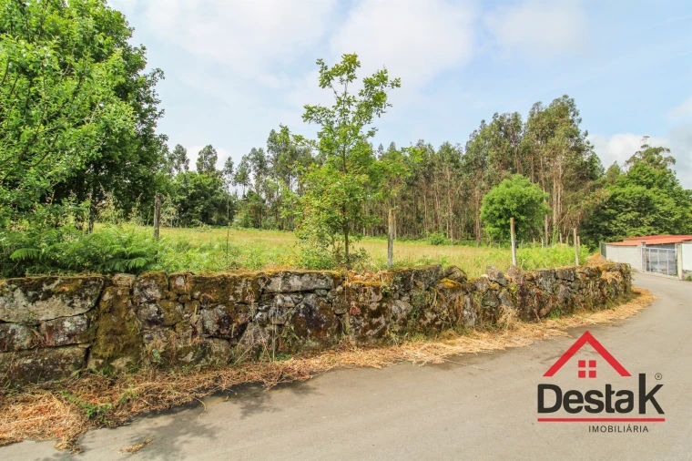 Terreno Agricola ou Rústico para Venda em Serrazes Foto 2