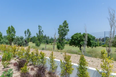 Moradia T5 para Venda em Santa Maria e São Miguel, São Martinho, São Pedro Penaferrim