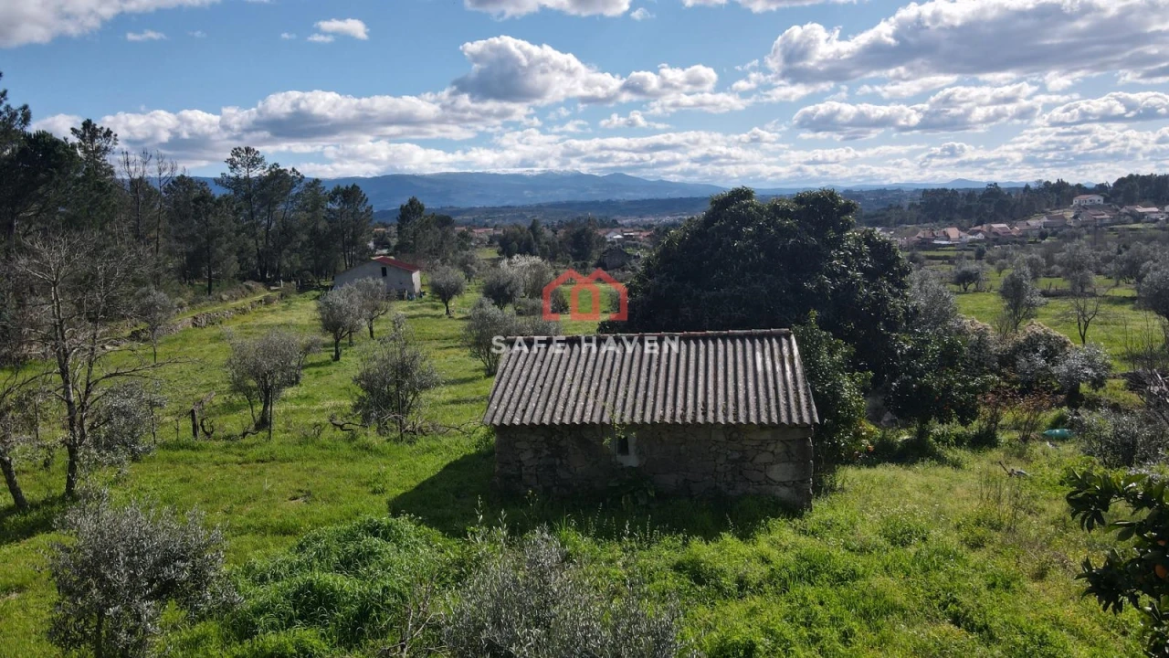 Quinta T0 para Venda em Santiago de Cassurrães e Póvoa de Cervães Foto 9