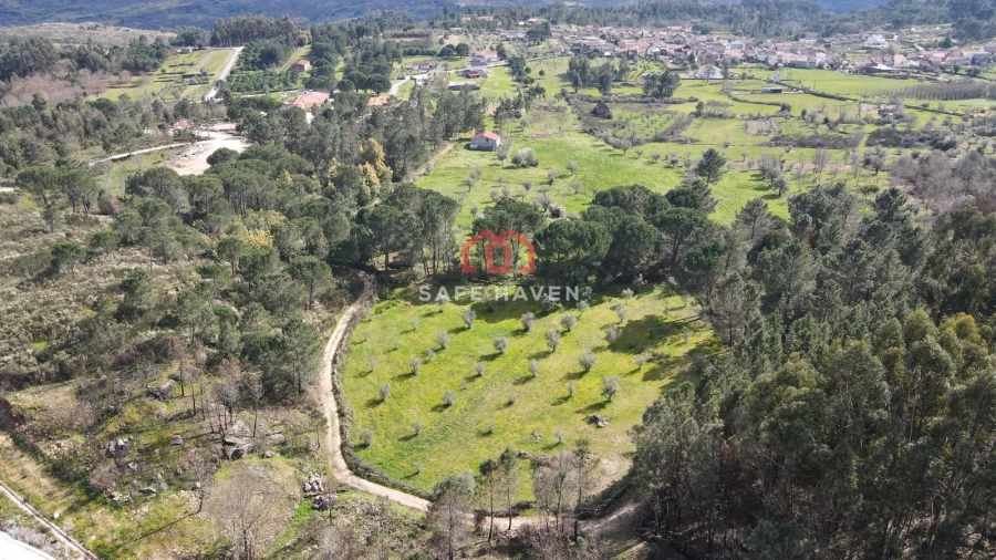 Quinta T0 para Venda em Santiago de Cassurrães e Póvoa de Cervães Foto 4