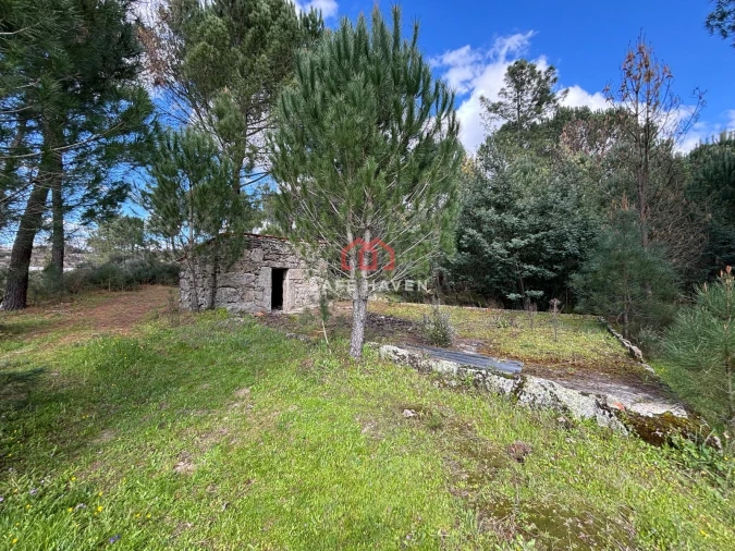 Quinta T0 para Venda em Santiago de Cassurrães e Póvoa de Cervães Foto 8