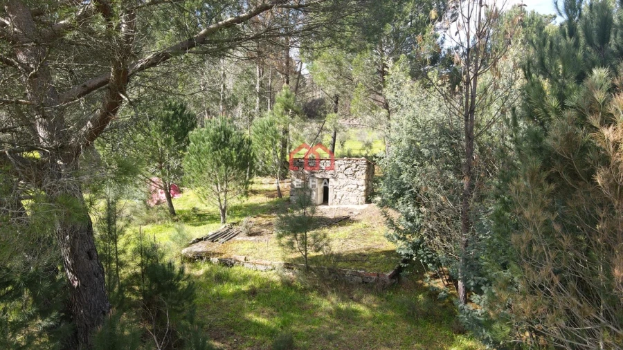 Quinta T0 para Venda em Santiago de Cassurrães e Póvoa de Cervães Foto 7