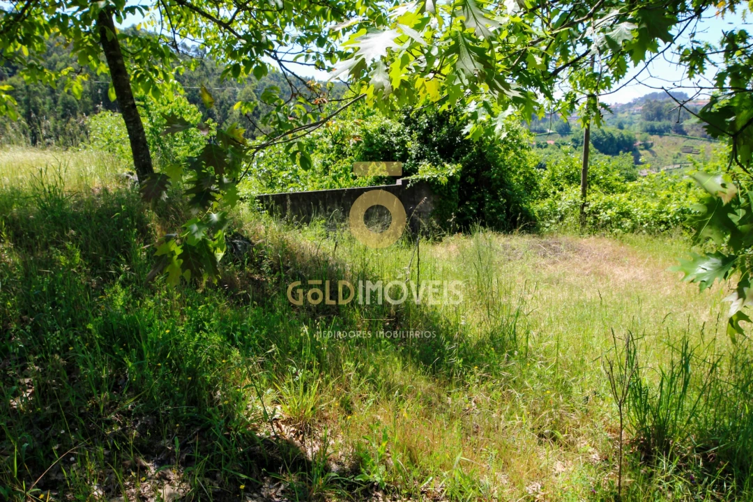 Quinta T3 para Venda em Banho e Carvalhosa Foto 29