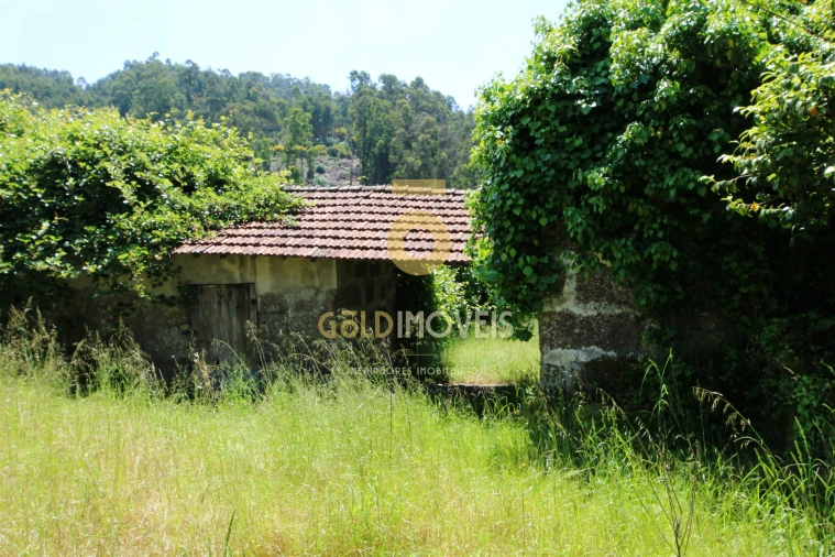 Quinta T3 para Venda em Banho e Carvalhosa Foto 24