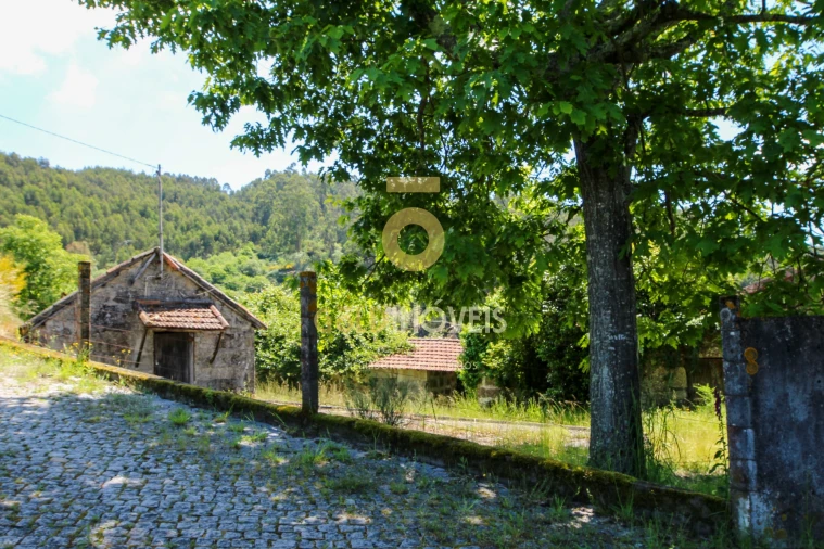 Quinta T3 para Venda em Banho e Carvalhosa Foto 26