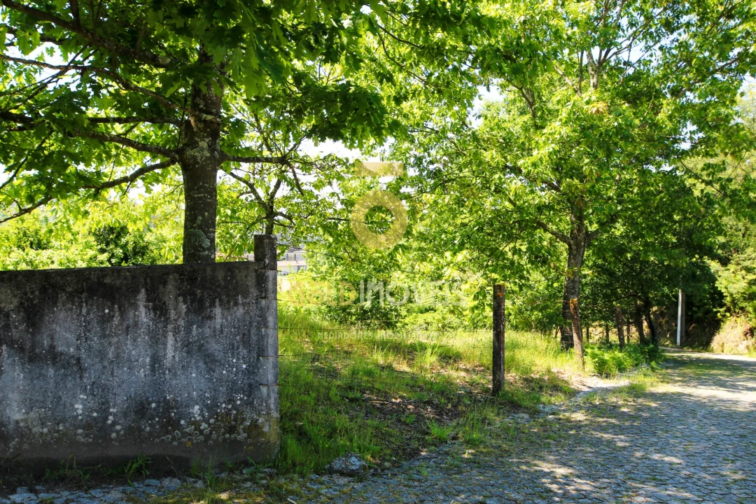Quinta T3 para Venda em Banho e Carvalhosa Foto 28