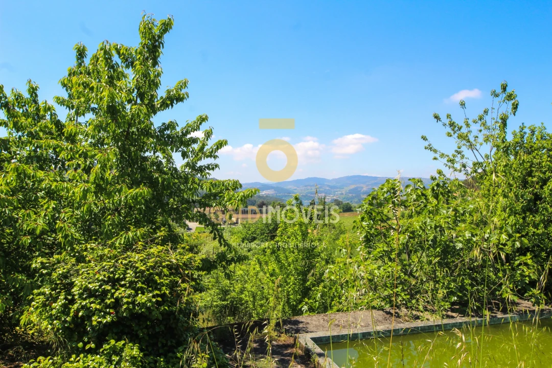 Quinta T3 para Venda em Banho e Carvalhosa Foto 16