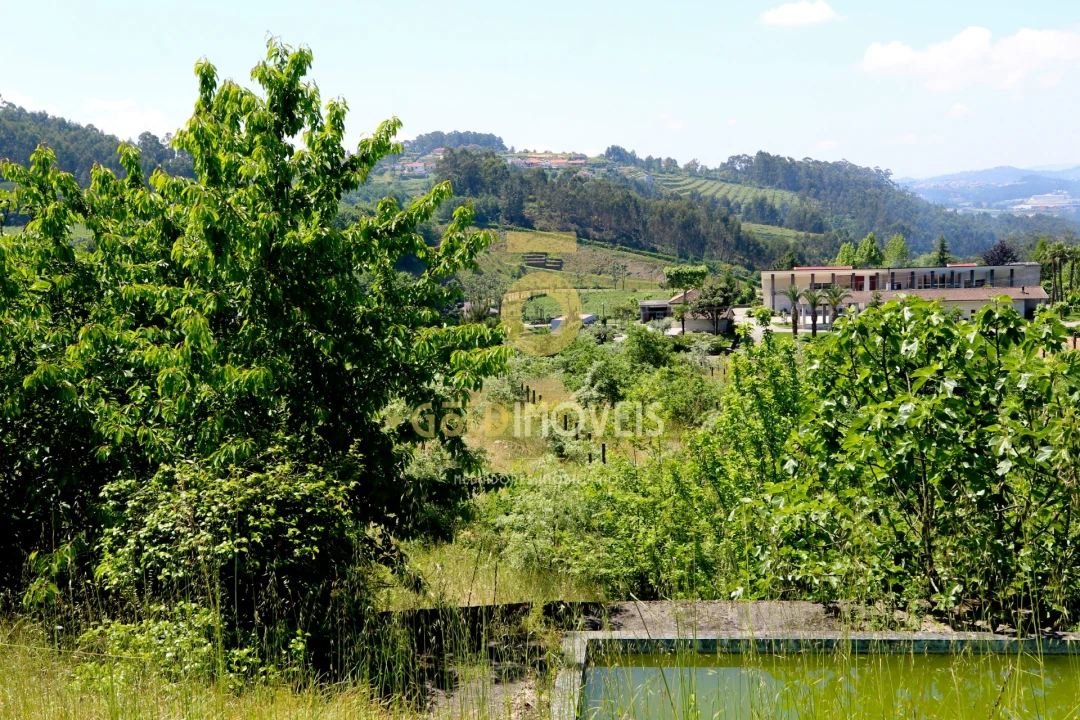 Quinta T3 para Venda em Banho e Carvalhosa Foto 14