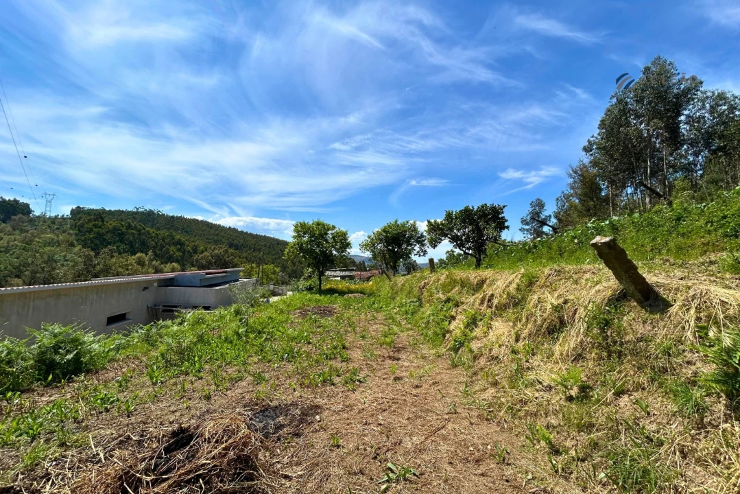 Terreno para Venda em Lagares e Figueira Foto 18