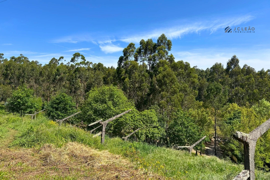 Terreno para Venda em Lagares e Figueira Foto 2