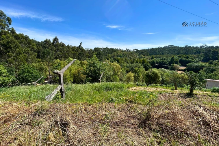 Terreno para Venda em Lagares e Figueira Foto 4