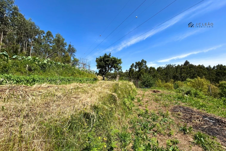 Terreno para Venda em Lagares e Figueira Foto 19