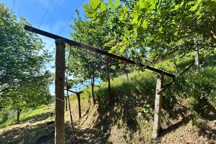 Terreno para Venda em Lagares e Figueira Foto 13