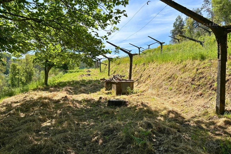 Terreno para Venda em Lagares e Figueira Foto 15