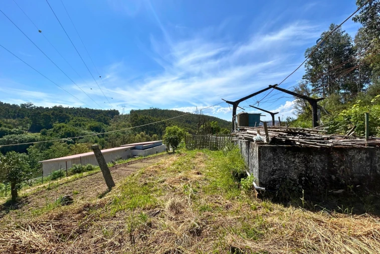 Terreno para Venda em Lagares e Figueira Foto 3