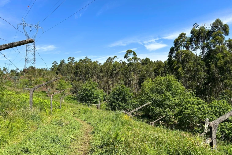 Terreno para Venda em Lagares e Figueira Foto 6